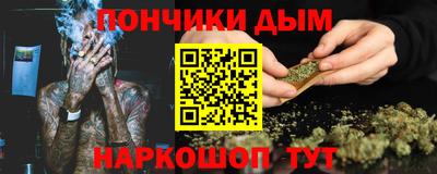 крисы Лесосибирск