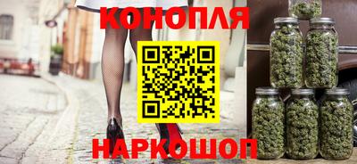 крисы Лесосибирск