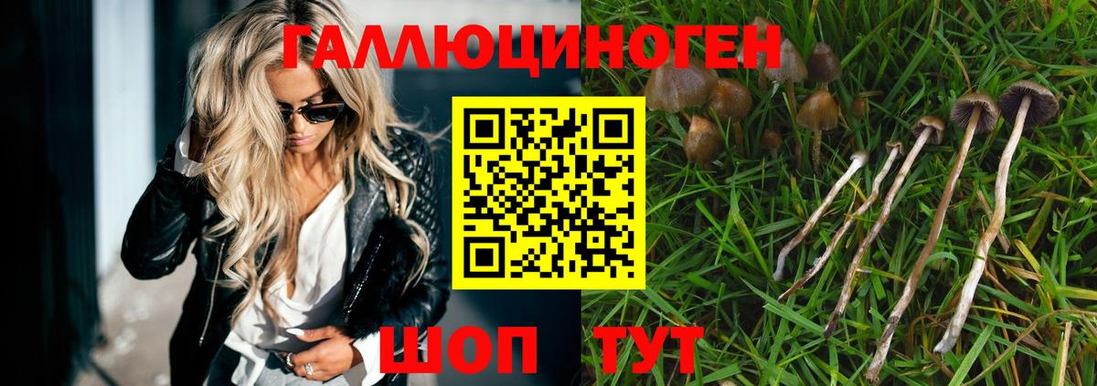 Галлюциногенные грибы MAGIC MUSHROOMS  Вход с VPN  Псилоцибиновые грибы GOLDEN TEACHER  Гай 