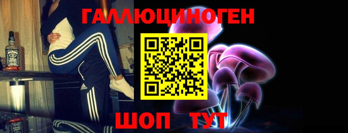 Псилоцибиновые грибы Psilocybine cubensis Гай