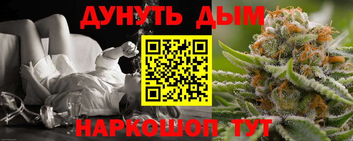 Шишки марихуана план Гай